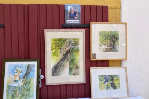 WhatsApp-Bild-2025-06-21-um-11.57.41_4600649c