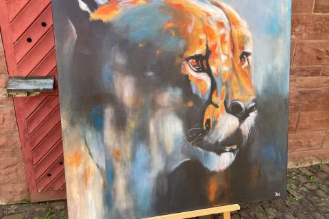 WhatsApp-Bild-2025-06-21-um-11.57.43_8728dae9