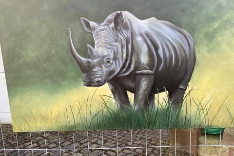 WhatsApp-Bild-2025-06-21-um-11.57.43_a0940291